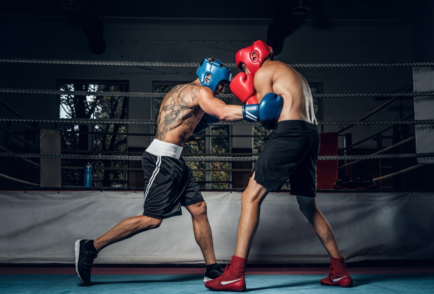 Boxeo